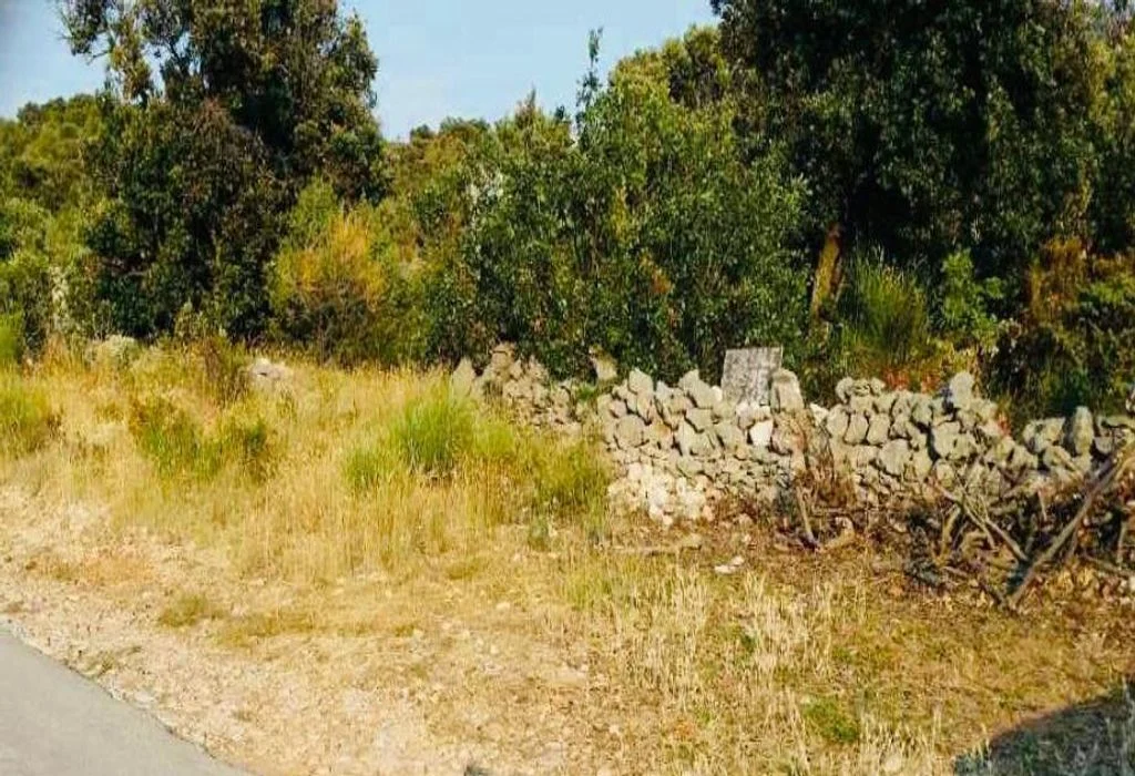 naslovna (9)
